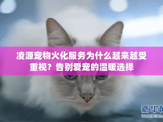 凌源宠物火化服务为什么越来越受重视？告别爱宠的温暖选择