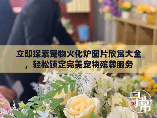 立即探索宠物火化炉图片欣赏大全，轻松锁定完美宠物殡葬服务