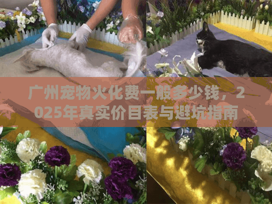 广州宠物火化费一般多少钱，2025年真实价目表与避坑指南