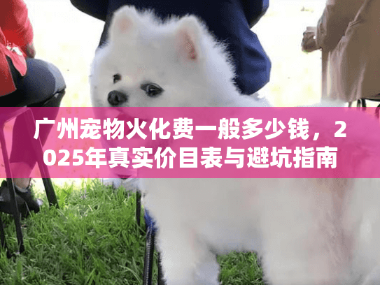 广州宠物火化费一般多少钱，2025年真实价目表与避坑指南