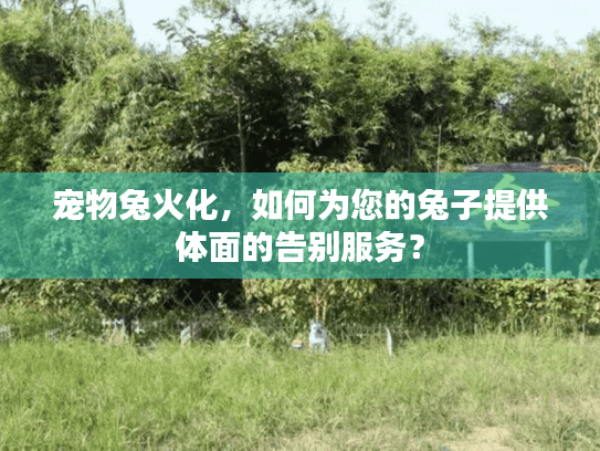 宠物兔火化，如何为您的兔子提供体面的告别服务？