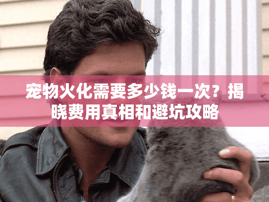 宠物火化需要多少钱一次？揭晓费用真相和避坑攻略