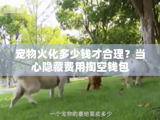 宠物火化多少钱才合理？当心隐藏费用掏空钱包