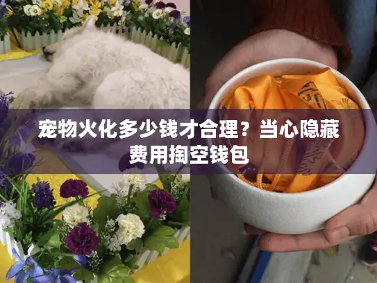 宠物火化多少钱才合理？当心隐藏费用掏空钱包