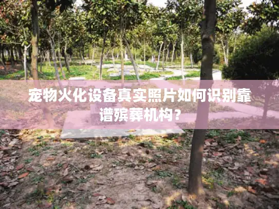 宠物火化设备真实照片如何识别靠谱殡葬机构？