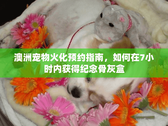 澳洲宠物火化预约指南，如何在7小时内获得纪念骨灰盒