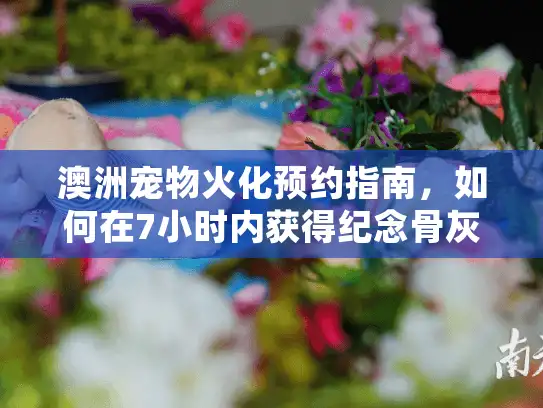 澳洲宠物火化预约指南，如何在7小时内获得纪念骨灰盒