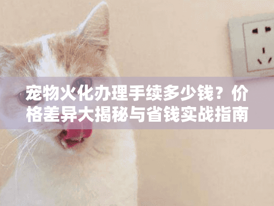 宠物火化办理手续多少钱？价格差异大揭秘与省钱实战指南