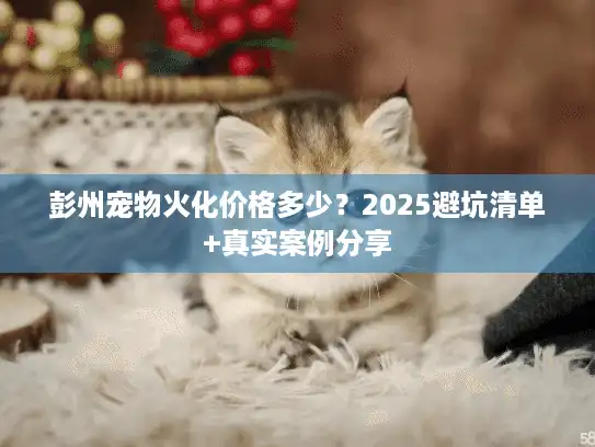 彭州宠物火化价格多少？2025避坑清单+真实案例分享