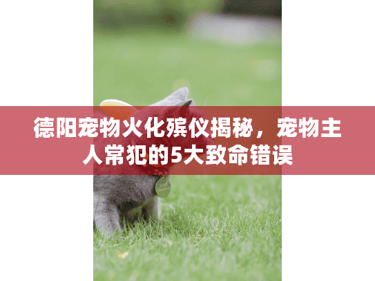 德阳宠物火化殡仪揭秘,宠物主人常犯的5大致命错误 德阳宠物火化殡仪揭秘,宠物主人常犯的5大致命错误