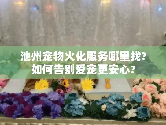 池州宠物火化服务哪里找?如何告别爱宠更安心? 池州宠物火化服务哪里找?如何告别爱宠更安心?