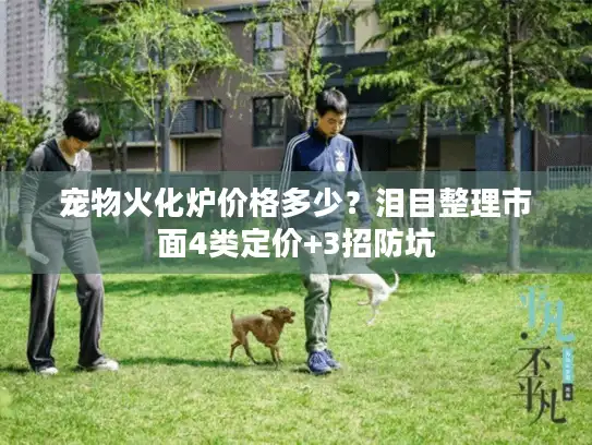 宠物火化炉价格多少？泪目整理市面4类定价+3招防坑