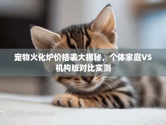 宠物火化炉价格表大揭秘，个体家庭VS机构版对比实测