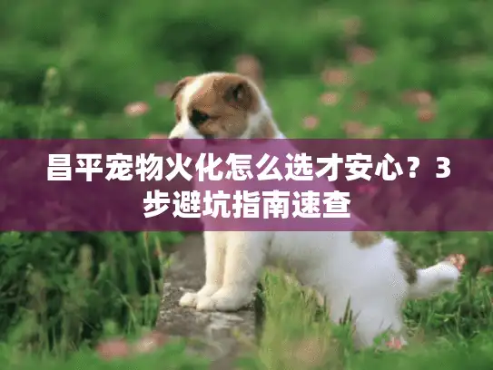 昌平宠物火化怎么选才安心?3步避坑指南速查 昌平宠物火化怎么选才安心?3步避坑指南速查