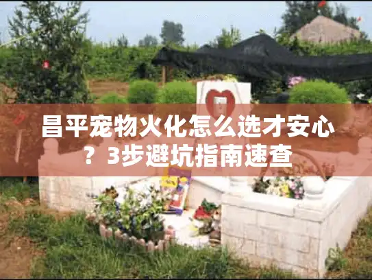 昌平宠物火化怎么选才安心?3步避坑指南速查 昌平宠物火化怎么选才安心?3步避坑指南速查
