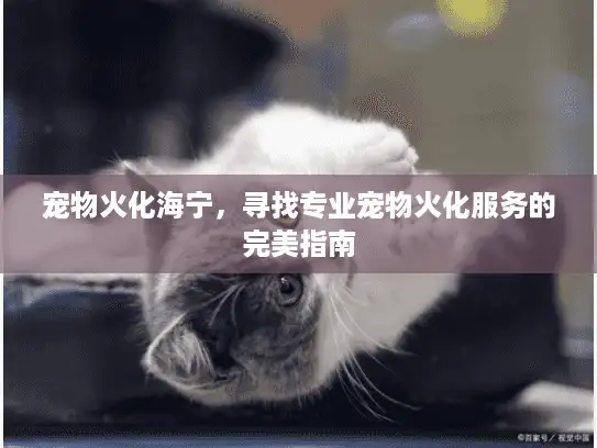 宠物火化海宁,寻找专业宠物火化服务的完美指南 宠物火化海宁,寻找专业宠物火化服务的完美指南