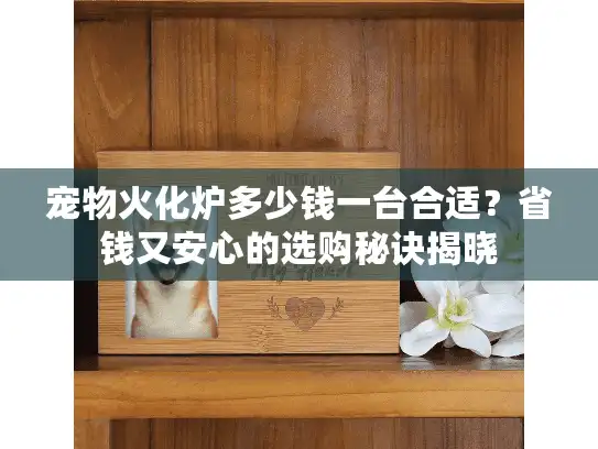 宠物火化炉多少钱一台合适？省钱又安心的选购秘诀揭晓
