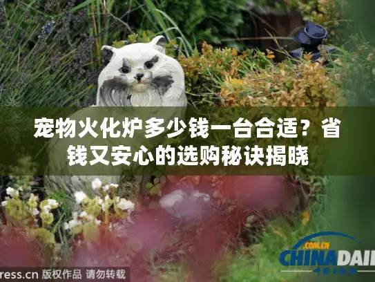 宠物火化炉多少钱一台合适？省钱又安心的选购秘诀揭晓