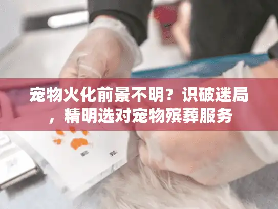 宠物火化前景不明?识破迷局,精明选对宠物殡葬服务 宠物火化前景不明?识破迷局,精明选对宠物殡葬服务