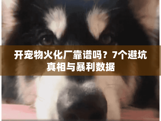 开宠物火化厂靠谱吗？7个避坑真相与暴利数据