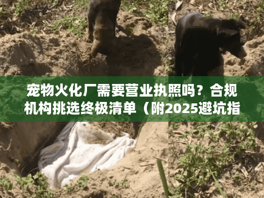 宠物火化厂需要营业执照吗?合规机构挑选终极清单(附2025避坑指南) 宠物火化厂需要营业执照吗?合规机构挑选终极清单(附2025避坑指南)