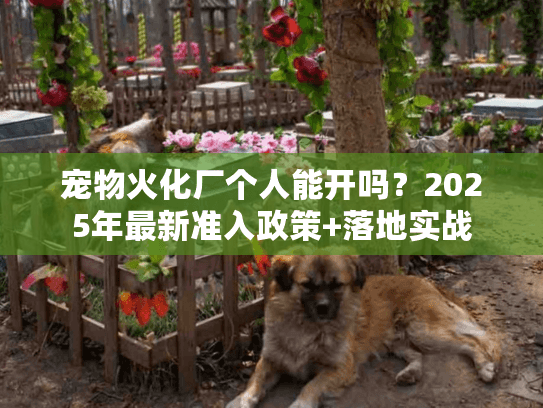 宠物火化厂个人能开吗？2025年最新准入政策+落地实战