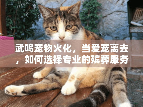 武鸣宠物火化，当爱宠离去，如何选择专业的殡葬服务？