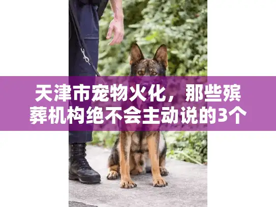 天津市宠物火化，那些殡葬机构绝不会主动说的3个真相