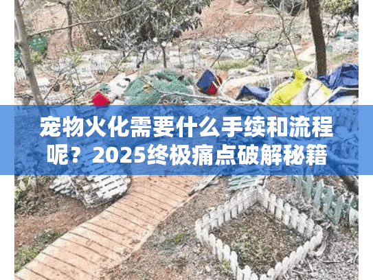 宠物火化需要什么手续和流程呢？2025终极痛点破解秘籍