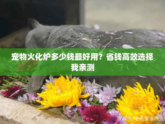 宠物火化炉多少钱最好用?省钱高效选择我亲测 宠物火化炉多少钱最好用?省钱高效选择我亲测