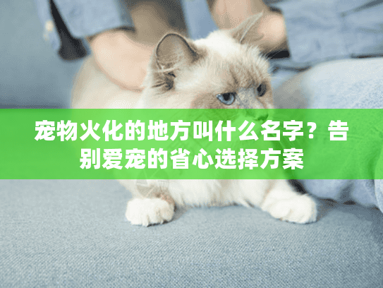 宠物火化的地方叫什么名字?告别爱宠的省心选择方案 宠物火化的地方叫什么名字?告别爱宠的省心选择方案