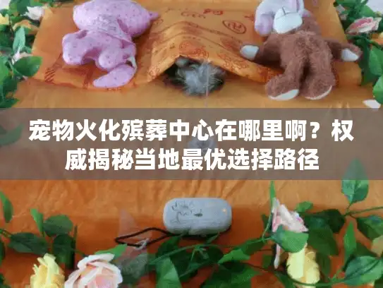 宠物火化殡葬中心在哪里啊？权威揭秘当地最优选择路径