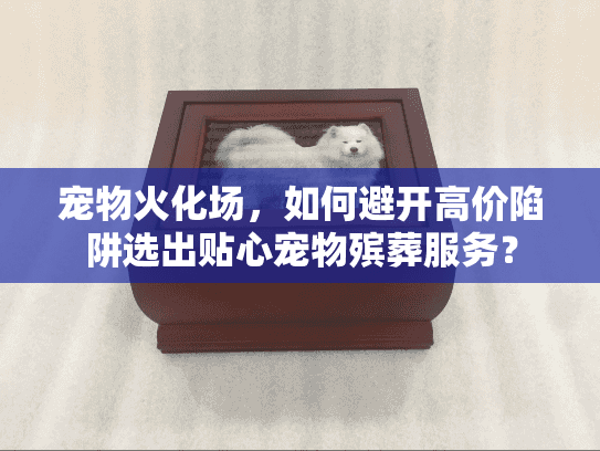 宠物火化场，如何避开高价陷阱选出贴心宠物殡葬服务？