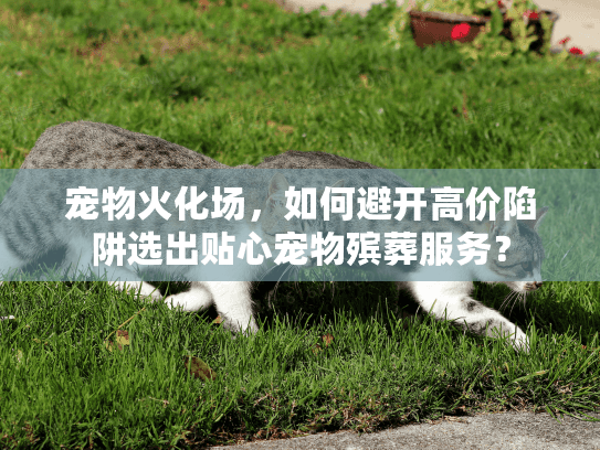 宠物火化场，如何避开高价陷阱选出贴心宠物殡葬服务？