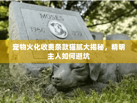 宠物火化收费条款猫腻大揭秘，精明主人如何避坑