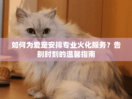 如何为爱宠安排专业火化服务？告别时刻的温馨指南