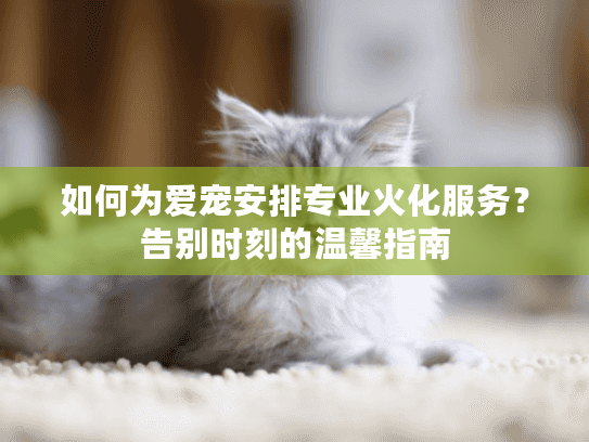 如何为爱宠安排专业火化服务？告别时刻的温馨指南