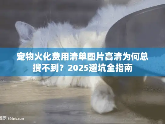 宠物火化费用清单图片高清为何总搜不到？2025避坑全指南