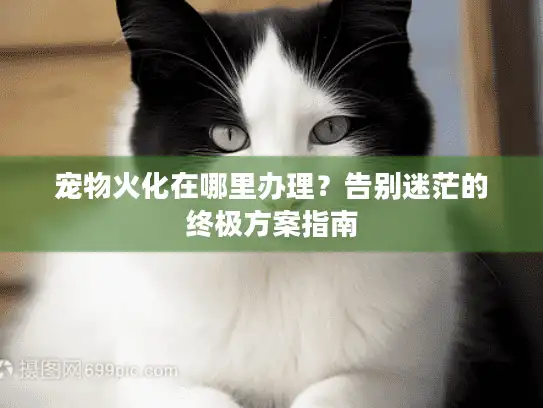 宠物火化在哪里办理?告别迷茫的终极方案指南 宠物火化在哪里办理?告别迷茫的终极方案指南