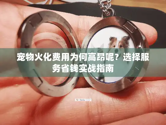 宠物火化费用为何高昂呢?选择服务省钱实战指南 宠物火化费用为何高昂呢?选择服务省钱实战指南