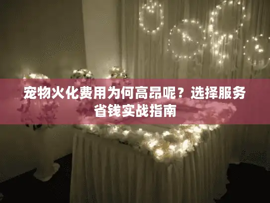 宠物火化费用为何高昂呢?选择服务省钱实战指南 宠物火化费用为何高昂呢?选择服务省钱实战指南