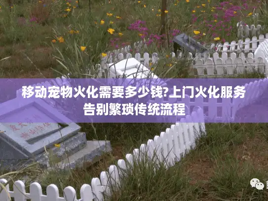 移动宠物火化需要多少钱?上门火化服务告别繁琐传统流程