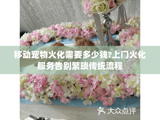 移动宠物火化需要多少钱?上门火化服务告别繁琐传统流程