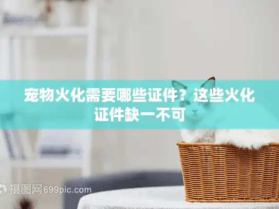 宠物火化需要哪些证件？这些火化证件缺一不可
