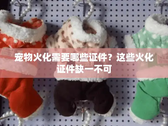 宠物火化需要哪些证件？这些火化证件缺一不可