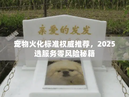 宠物火化标准权威推荐，2025选服务零风险秘籍