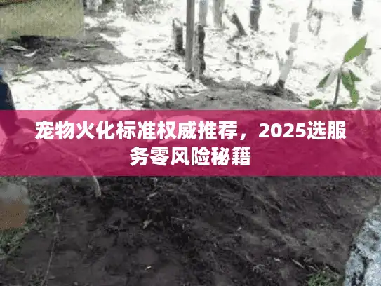 宠物火化标准权威推荐，2025选服务零风险秘籍