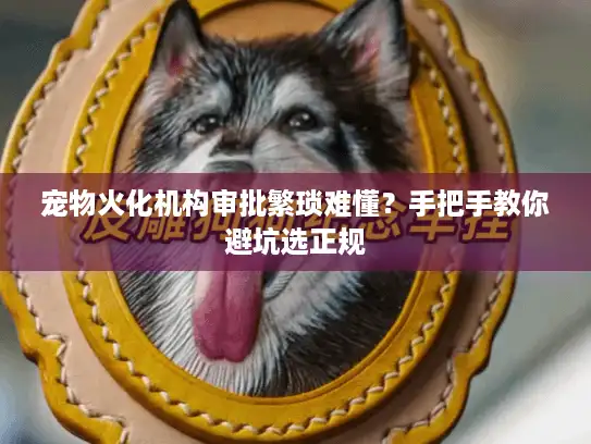 宠物火化机构审批繁琐难懂？手把手教你避坑选正规