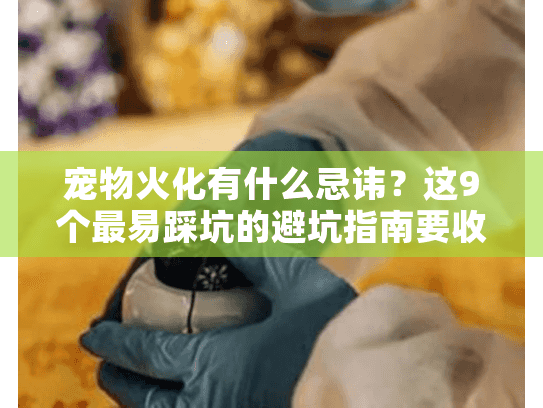 宠物火化有什么忌讳？这9个最易踩坑的避坑指南要收好