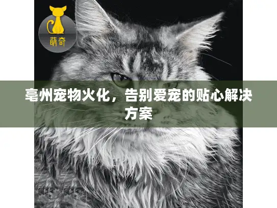 亳州宠物火化，告别爱宠的贴心解决方案